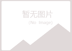 龙沙区埋没音乐有限公司